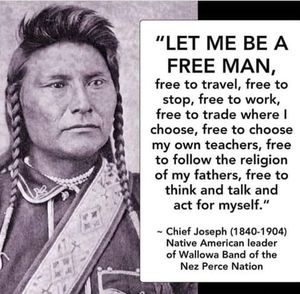 Meet your Posher, Ronnie